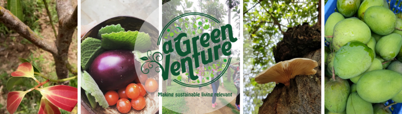 A Green Venture